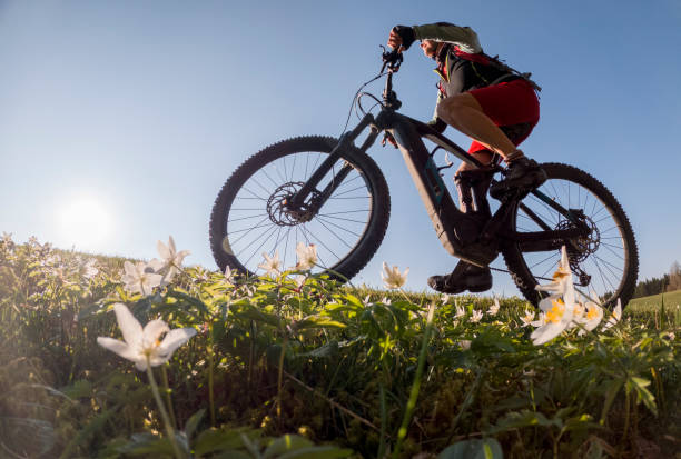 E-Bike-Verleih